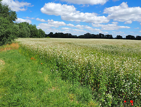 Von Hradek Kralowe nach Kolin