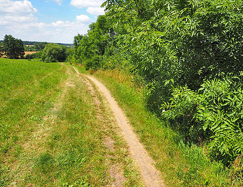 Von Hradek Kralowe nach Kolin