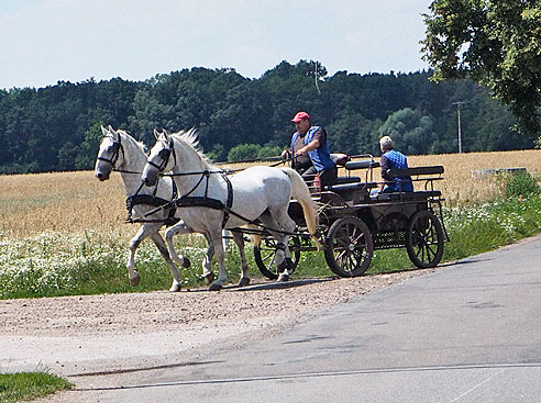 Von Hradek Kralowe nach Kolin