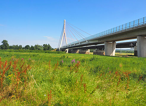 Etappe Elberadweg von Dreden nach Torgau