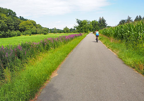 Etappe Elberadweg von Dreden nach Torgau