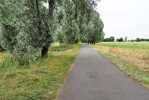 Etappe Elberadweg von Torgau bis Wittenberg
