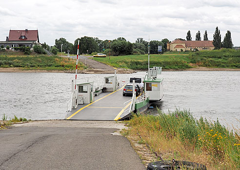 Etappe Elberadweg von Torgau bis Wittenberg