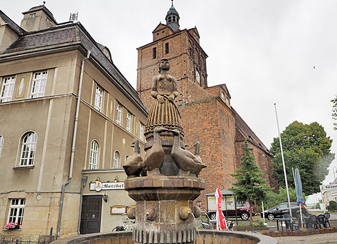 Etappe Elberadweg von Torgau bis Wittenberg