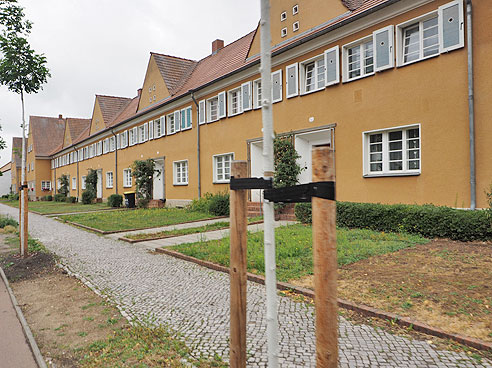 Etappe Wittenberg bis Bernburg an der Saale