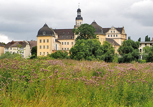 Etappe Wittenberg bis Bernburg an der Saale