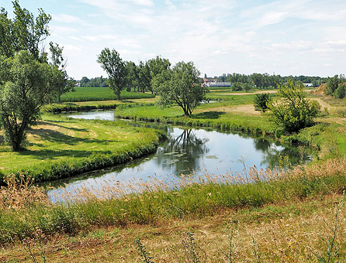 Etappe Wittenberg bis Bernburg an der Saale