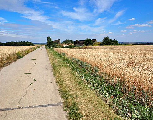 Etappe Wittenberg bis Bernburg an der Saale