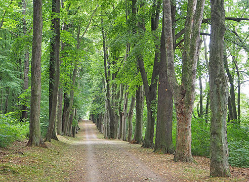 Etappe Wittenberg bis Bernburg an der Saale