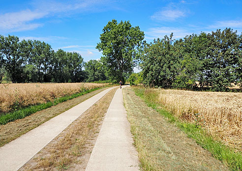 Etappe Wittenberg bis Bernburg an der Saale