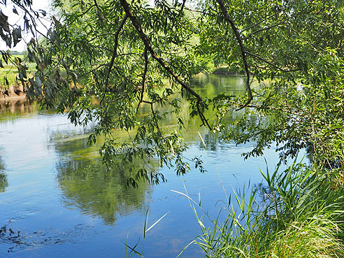 Etappe Wittenberg bis Bernburg an der Saale