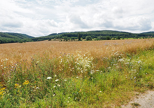 Etappe Quedlinburg bis Wernigerode