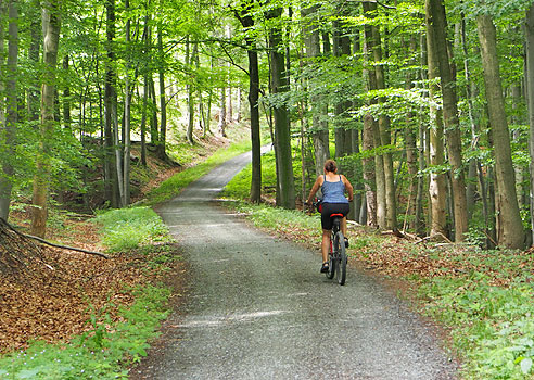 Etappe Quedlinburg bis Wernigerode