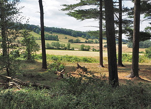 Etappe Quedlinburg bis Wernigerode