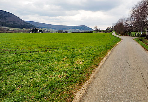 Donauradweg im Tal