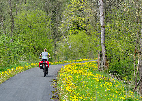 Georadroute Ruhr-Eder: Etappe Herzhausen bis Winterberg