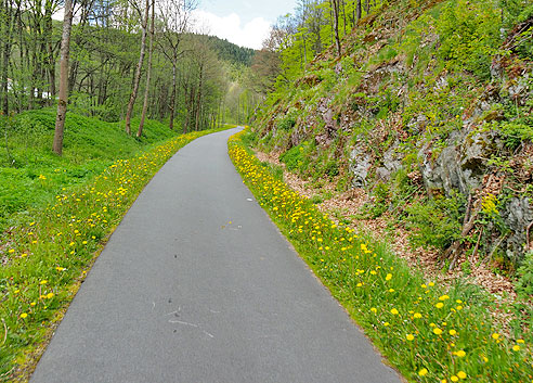 Georadroute Ruhr-Eder: Etappe Herzhausen bis Winterberg