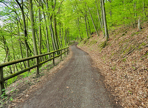 Georadroute Ruhr-Eder: Etappe Herzhausen bis Winterberg