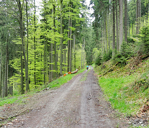 Georadweg Ruhr Eder