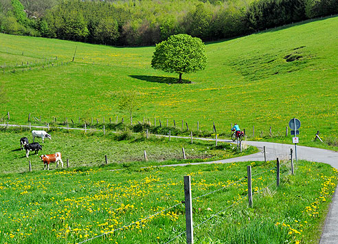 Georadweg Ruhr Eder
