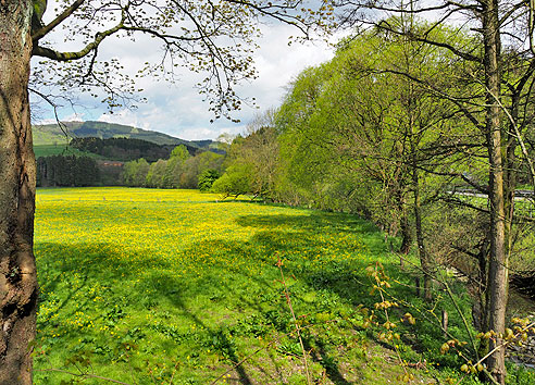 Georadweg Ruhr Eder