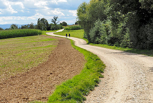 Hohenzollernradweg nach Grötzingen