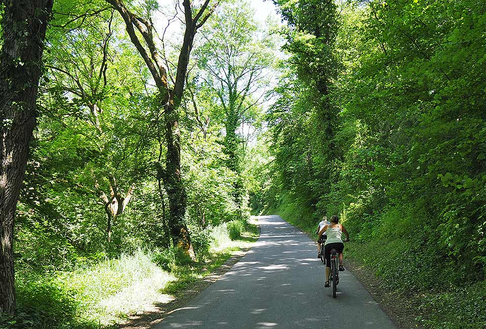 Der Brenztalradweg führt von Königsbronn bis zur Donau