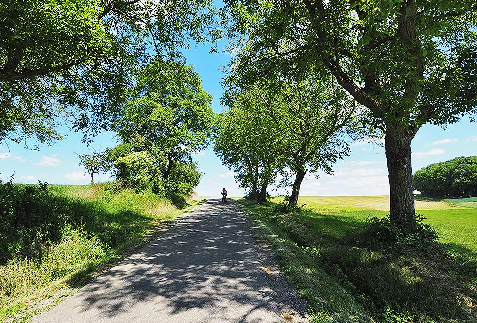 Der Brenztalradweg führt von Königsbronn bis zur Donau