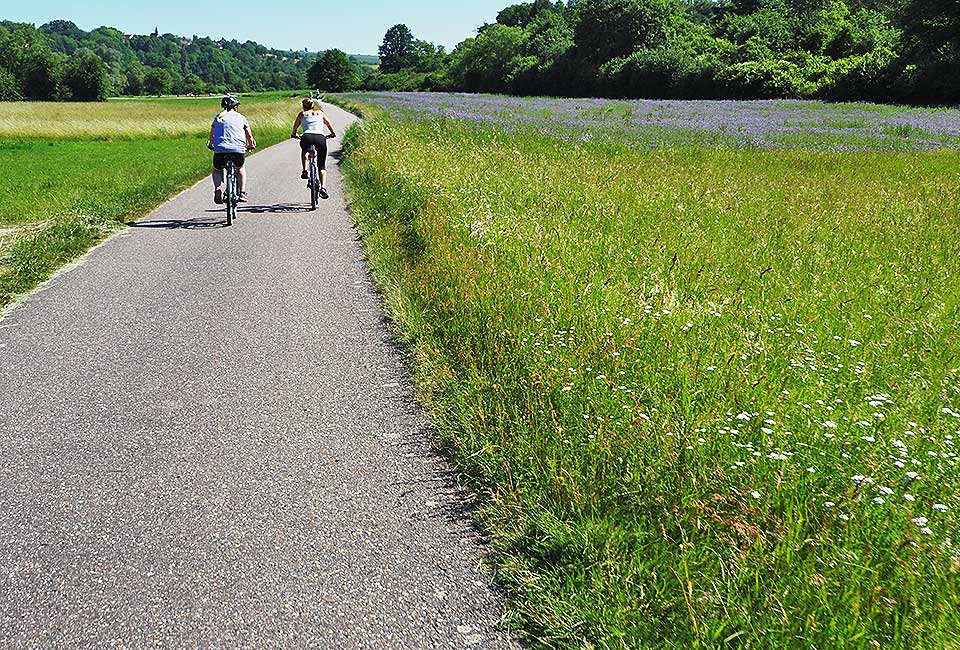 Der Brenztalradweg führt von Königsbronn bis zur Donau