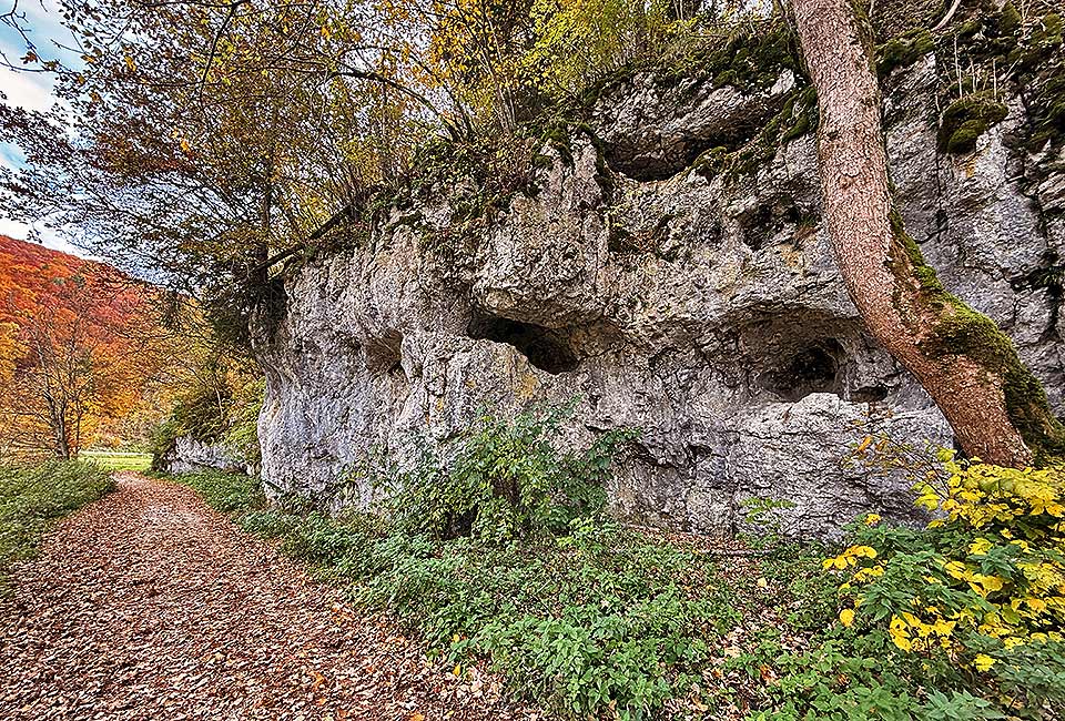 Radrundtour an Lauter, Donau und Glastal