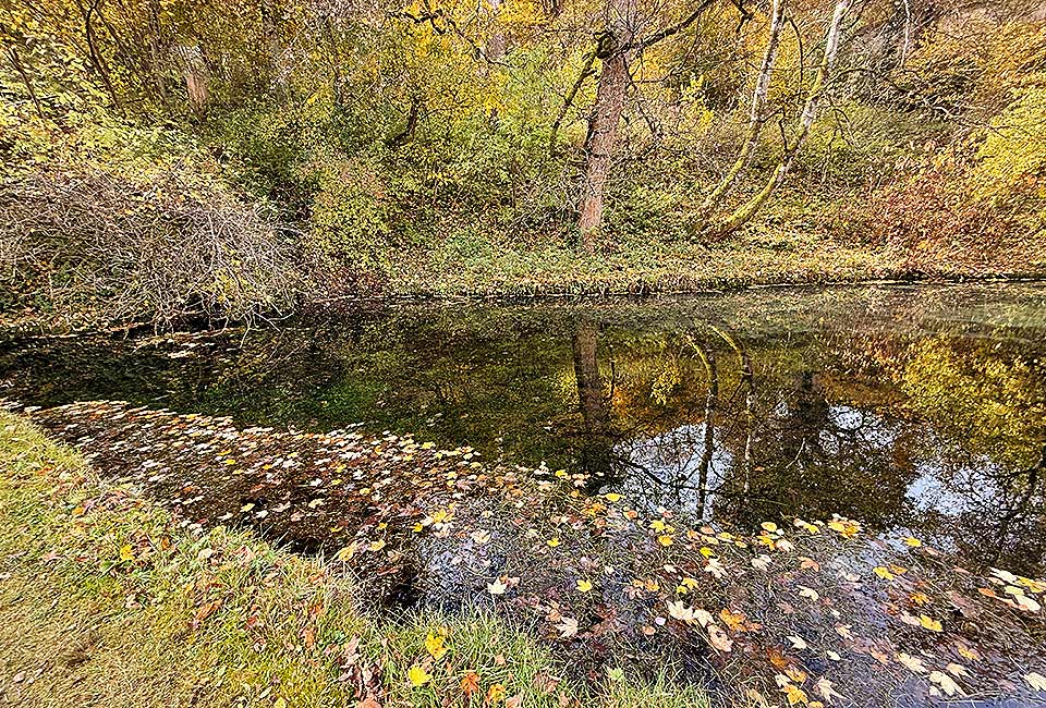 Radrundtour an Lauter, Donau und Glastal