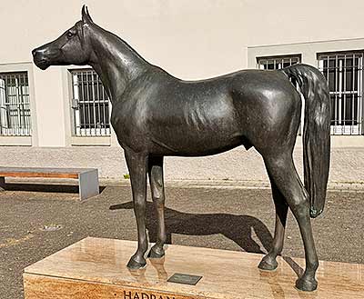 Gründerhengst Hadban Enzahi