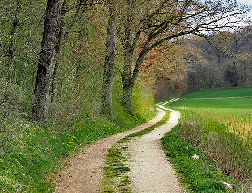 Naturbelassene Wege im Lonetal