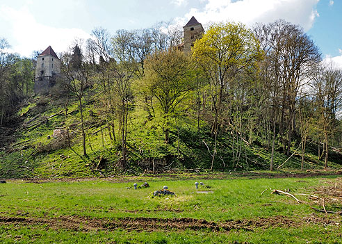 Reste der Burg Kaltenburg