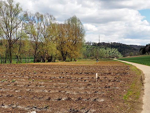 Durch das flache Lonetal geht es weiter