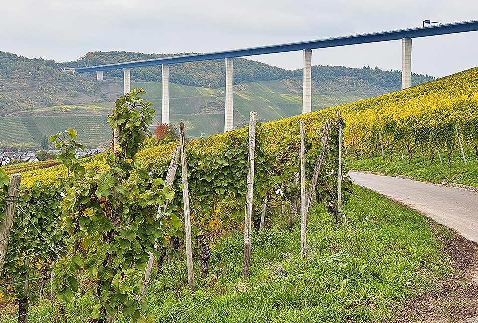Moselhöhenradweg Bernkastel Ürzig Moselhöhenradweg Bernkastel Ürzig