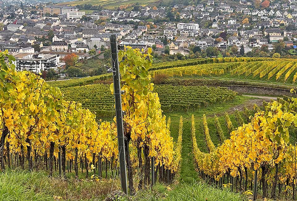 Moselhöhenradweg Bernkastel Ürzig Moselhöhenradweg Bernkastel Ürzig