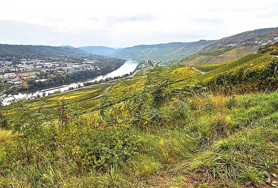 Moselhöhenradweg Bernkastel Ürzig Moselhöhenradweg Bernkastel Ürzig