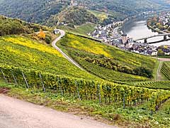 Moselhöhenradweg