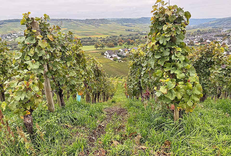 Rundtour Mülheim zum Wallfahrtsort Klausen