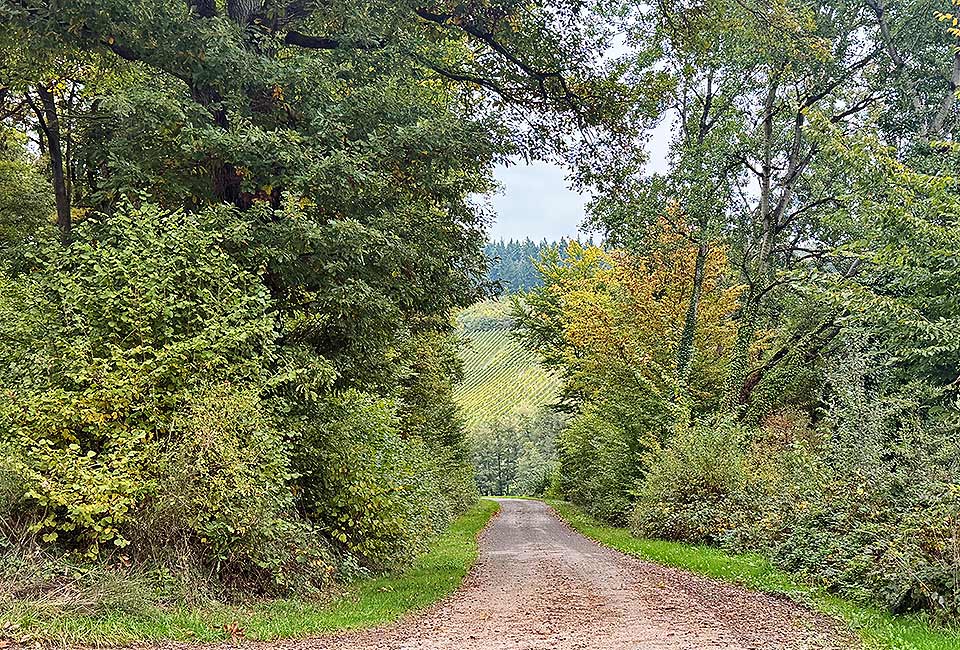 Rundtour Mülheim zum Wallfahrtsort Klausen