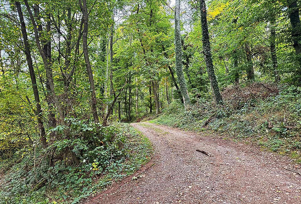 Rundtour Mülheim zum Wallfahrtsort Klausen