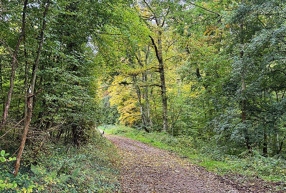 Rundtour Mülheim zum Wallfahrtsort Klausen