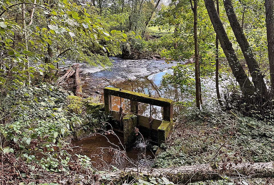 Rundtour Mülheim zum Wallfahrtsort Klausen