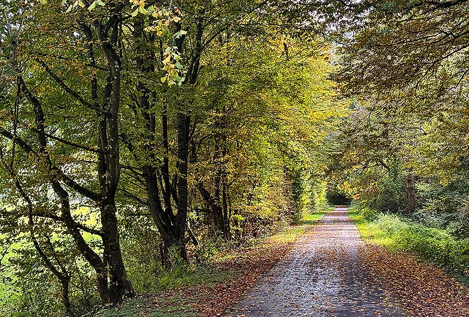 Rundtour Mülheim zum Wallfahrtsort Klausen