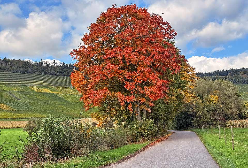 Rundtour Mülheim zum Wallfahrtsort Klausen