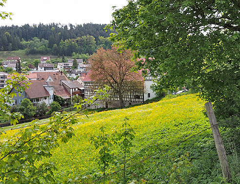 Bei Iseleshausen verlässt der Radweg das Tal 
