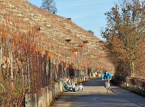 Radtour mit ungewollten Abstechern von Bad Cannstatt nach Marbach