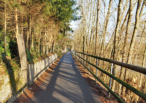 Radtour mit ungewollten Abstechern von Bad Cannstatt nach Marbach