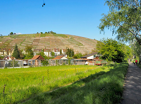 Radtour am Neckarradweg von Tübingen bach Bad Cannstatt